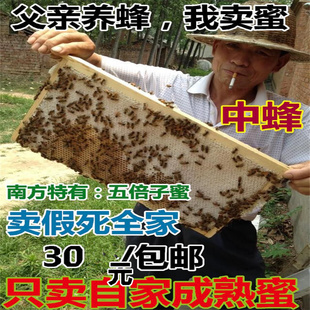 结晶蜜 百花蜜天然原蜜 土蜂蜜 农家自产自销野生蜂蜜 五倍子蜜