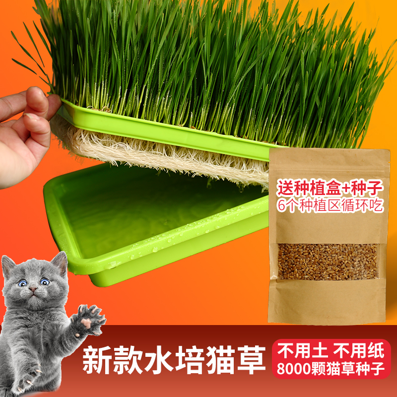 猫草种植套装 猫零食猫咪去毛球猫草大麦猫草种子带大水殖盆不用土