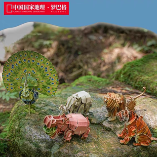 国家地理梦巴格3D自然发声动物立体纸质模型拼插图虎狮子大象河马