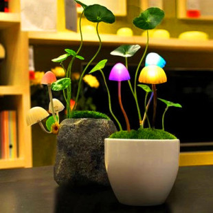 阿凡达蘑菇灯LED小夜灯七彩梦幻装 饰灯创意感应灯插电光控床头灯