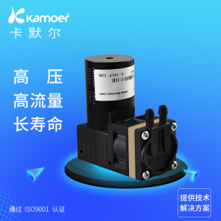 泵压泵无动真空泵卡默尔12v自吸正24v电刷抽Y气泵小型隔