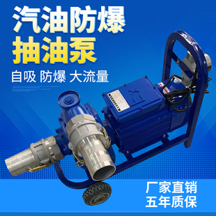 电动大流量抽油泵12v24v220v防爆柴油汽油防爆加油卸油导油泵