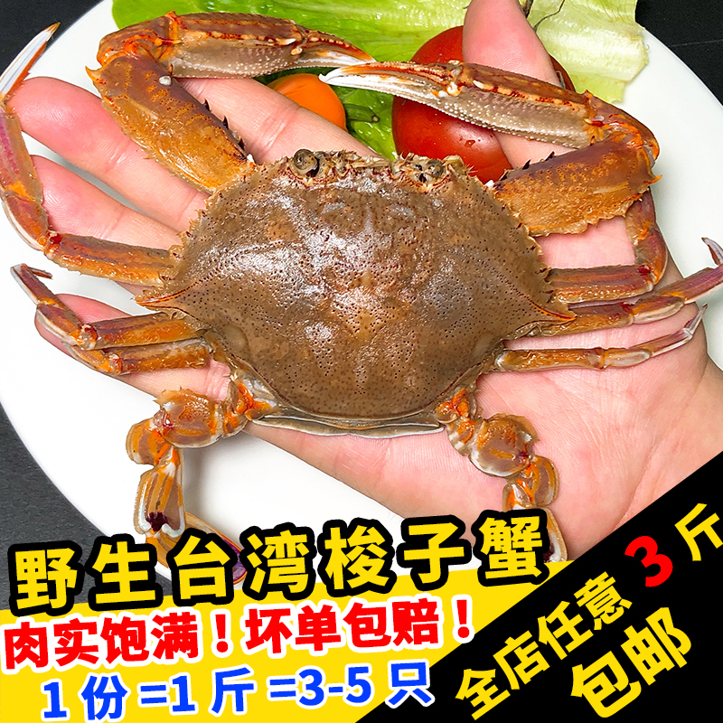 闽丰渔大扁蟹鲜活500克福建新鲜冷冻台湾梭子蟹海蟹肉蟹青蟹螃蟹