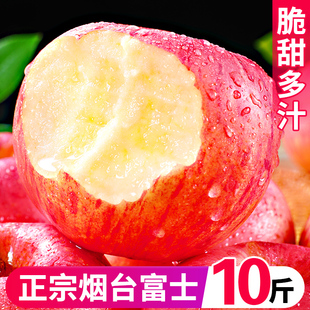 烟台红富士苹果10斤新鲜水果应当季 栖霞萍果冰糖心丑平果整箱 包邮