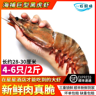 6只 2斤海捕鲜活冷冻水产海鲜斑节虾九节虾大龙虾 巨型大黑虎虾4