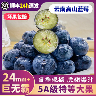 云南蓝莓鲜果特大礼盒高山新鲜水果应当季 整箱5斤一颗蓝梅超