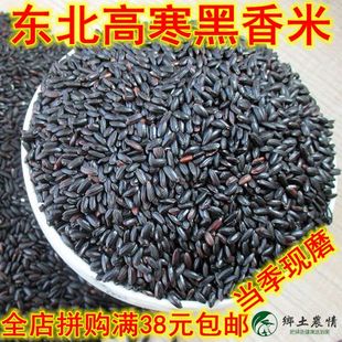 精品五常黑米无染色紫米农家黑香米杂粮黑大米八宝粥500克1斤