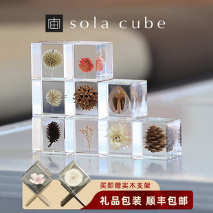 sola植物标本Sola cube永生花树脂摆件情人节礼物 日本进口正品