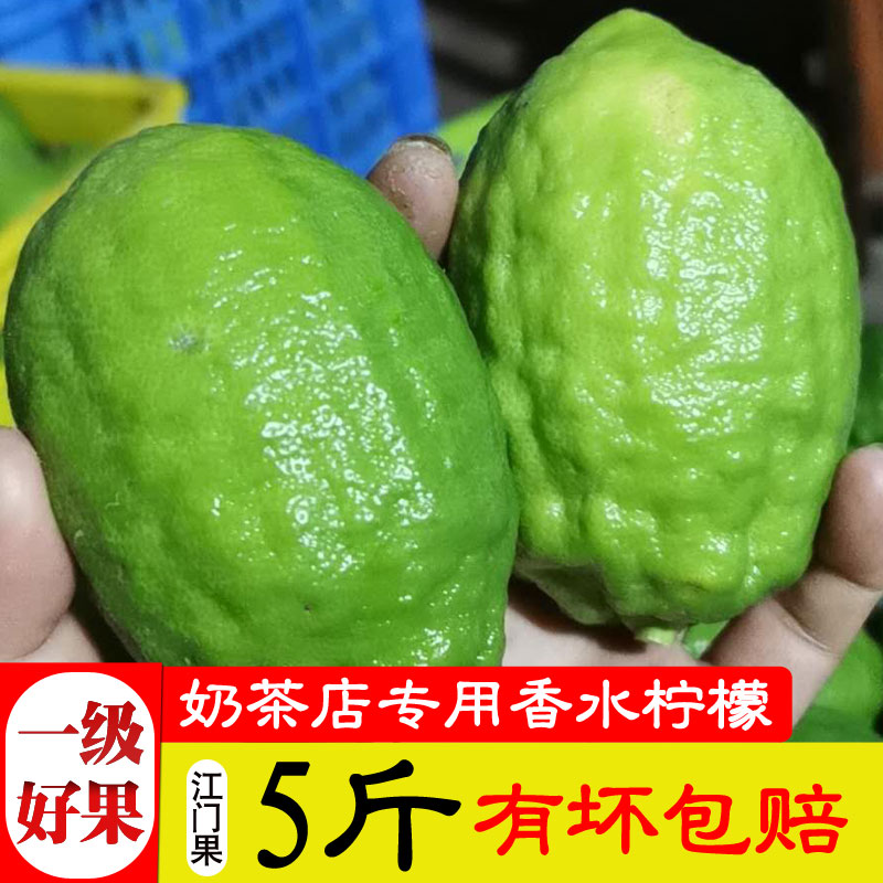 广东新鲜无籽香水柠檬5斤一级中大果绿青柠檬奶茶店专用皮薄水果