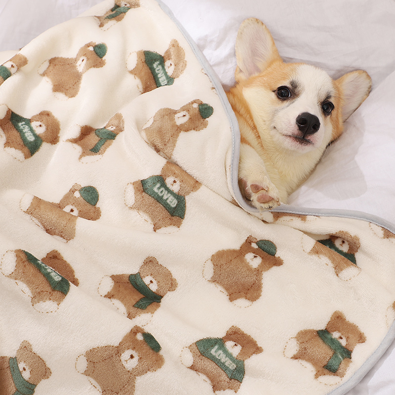 狗狗睡觉用小被子宠物专用毛毯夏珊瑚绒小狗 小毯子夏季 秋天冬款