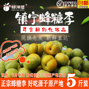 新鲜水果现摘现发 当季 原产地贵州镇宁六马蜂糖李子 包邮 孕妇鲜果