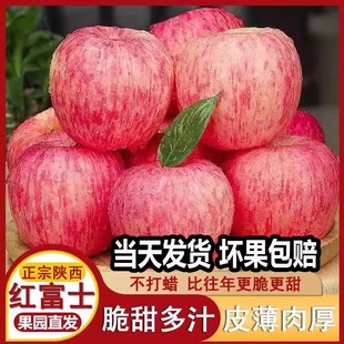 正宗陕西洛川苹果水果新鲜当季 整箱红富士冰糖心一级脆甜10斤 包邮