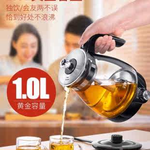 煮电水壶家用茶壶黑茶器多功能蒸汽式 专用喷淋煮茶泡 养生全自动