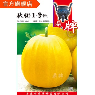 秋季 甜度好 甜瓜种子 4至7月播种 上市 包邮 抗高温 鼎牌秋甜1号