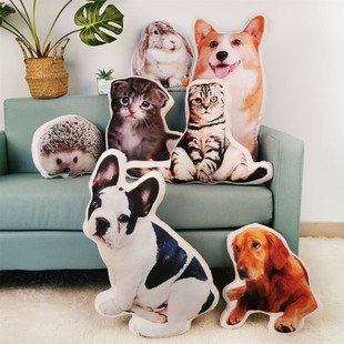 来图定制猫狗抱枕人物照片卡通动漫宠物刺猬鸟鱼兔3D仿真抱枕订做