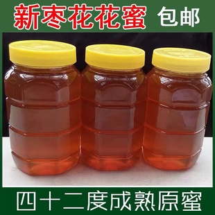 2023年新鲜枣花蜜枣花蜂蜜农家自产纯天然正宗蜂蜜1000克2斤装