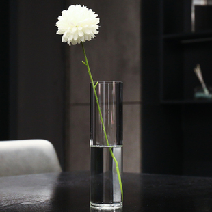 小清新透明玻璃摆件客厅干花水培插花圆柱直筒富贵竹一枝花花瓶