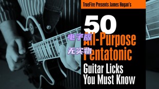 Licks Guitar TrueFire Pentatonic All Purpose 吉他五声乐句