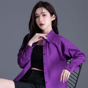 2024新款 打底衬衣女秋冬设计感小众高级感上衣外套 小个子紫色衬衫