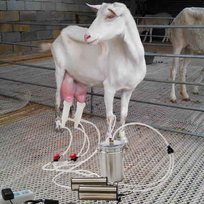 新款 奶羊牛用羊用羊奶挤奶器吸奶器牛羊用电动吸奶器小型家用山羊