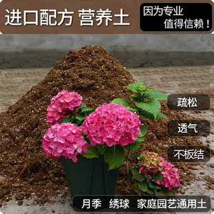 月季 专用土月季 土种植营养土绣球花绿萝盆栽养花通用型家用大包装