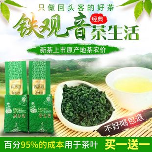 新茶铁观音清香型茶叶 买1件送1 件共500克 茶叶铁观音农产品