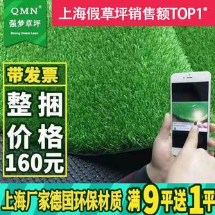 上海强梦仿真草坪地毯户外假屋顶楼顶隔热人工幼儿园塑料人造草皮