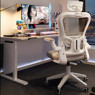 人体工学椅电脑椅家用舒服久坐靠背宿舍电竞椅男办公椅学习椅座椅