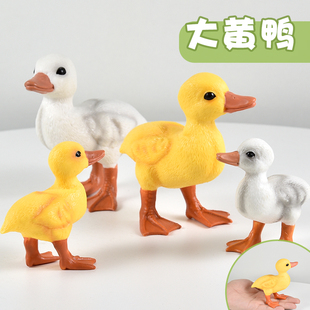 实心儿童农场仿真家禽动物模型玩具可爱大号小黄鸭Duck鸭认知礼物