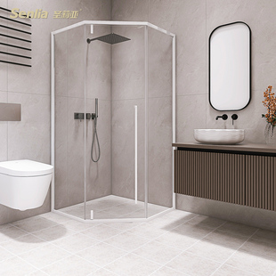 圣莉亚砖石淋浴房淋浴间不锈钢窄边框装 修厕所卫生间干湿分离隔断