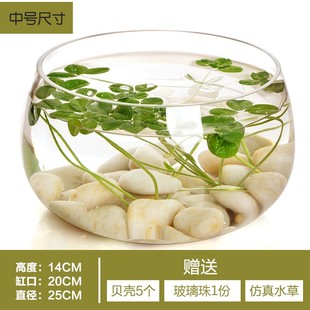 透明玻璃花瓶铜钱草水培植物花盆大码 绿萝玻璃器皿W客厅圆形鱼缸