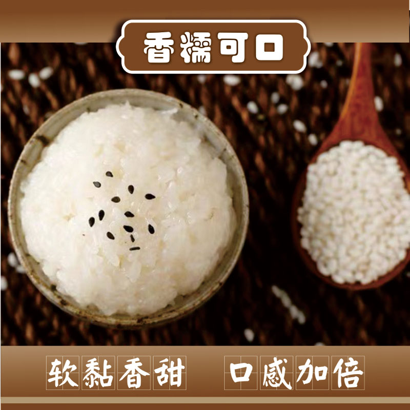 东北农家自产自销新糯米粽子糕点糍粑原材料五谷杂粮粘米软糯真空