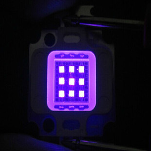 10W集成紫光led灯珠UV固化大功率紫光紫外线led光源395nm紫光灯