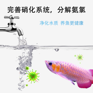 硝化细菌消化菌鱼池塘水产养殖水质净水剂水族鱼缸活菌液稳定水质