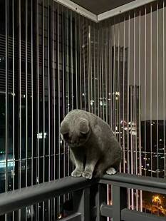 阳台隐形防盗网隐形防护网安全网316不锈钢丝窗猫儿童深圳包安装