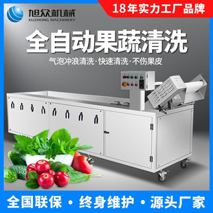 果蔬气泡清洗机 农产品设备多功能蔬果净菜流水清洗线洗菜机