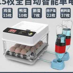 新厂促新鸭小鸡小型家用箱水床孵化器孵蛋器孵柯尔鸭孵化机化鹅品