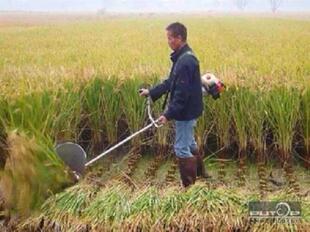 割稻机 农用 收割稻类 割禾水稻玉米割小麦松土机割草机小型家用