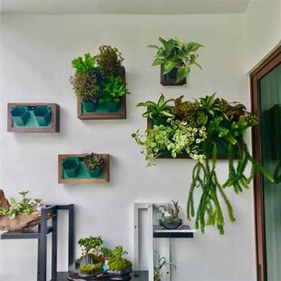 鹿角蕨挂板相框真绿植墙花架墙壁植物挂墙挂壁吸水壁挂式 绿萝花盆