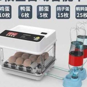 厂销厂促厂促鸭小鸡小型家用箱水床孵化器孵蛋器孵柯尔鸭孵化机品