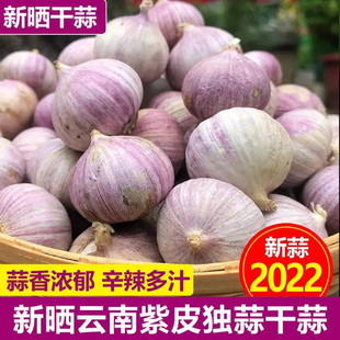 2022新鲜紫皮独头蒜大蒜头10斤现挖新蒜干蒜大蒜5斤农家紫白皮蒜