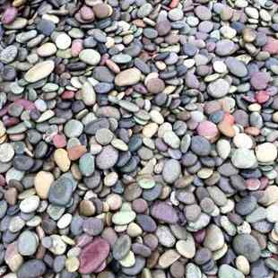 天然鹅卵石扁石头铺路石子园艺鱼缸石头雨花石鹅暖石铺地