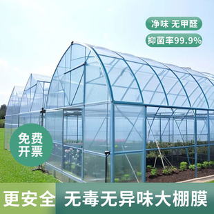 加厚塑料膜膜普通蔬菜温室养殖专用抗老化透明塑料布棚膜无滴大棚