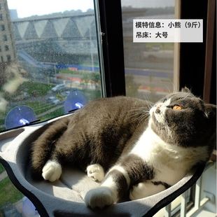 秋千挂窝挂式 窗台玻璃猫窝晒太阳 猫吊床窗户长方形吊床猫咪吸盘式