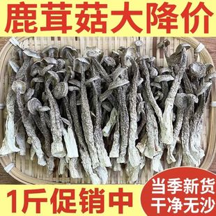 鹿茸菇干货鹿茸菌500g新鲜鹿耳菇煲汤食材毛重非净重蘑菇250g散装