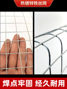 镀锌铁丝网隔离防镀锌养殖网网鸡笼护栏网网家用电焊钢丝网热鼠