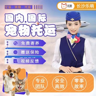 长沙北京上海广州深圳始发航空铁路专车宠物托运猫狗服务 通用型