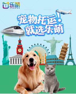 宠物托运狗猫衡阳长沙广州深圳上海北京到全国专车航空铁路大巴