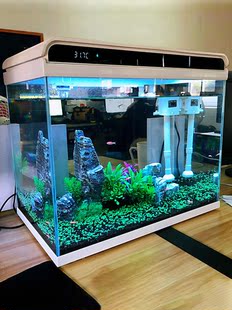 鱼缸2023新款 客厅制氧过滤一体机小型智能玻璃金鱼缸观赏鱼大型小
