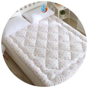 新款 床垫宿舍单人学生0.9米可爱床上软垫子加厚软充气家用椰棕垫